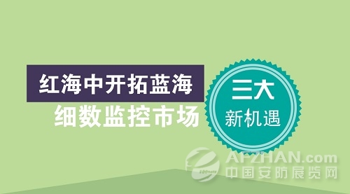 中國安防的藍(lán)海 細(xì)數(shù)視頻監(jiān)控市場新機遇