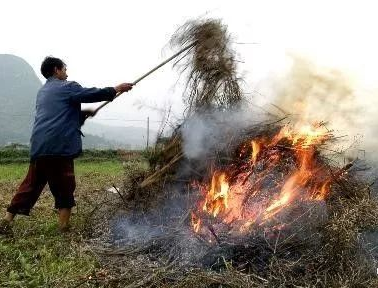你年年都想燒的秸稈，今年可以吃票子了！