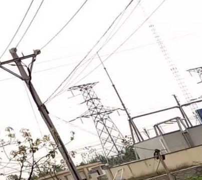 看看這些電力人的春季巡檢！