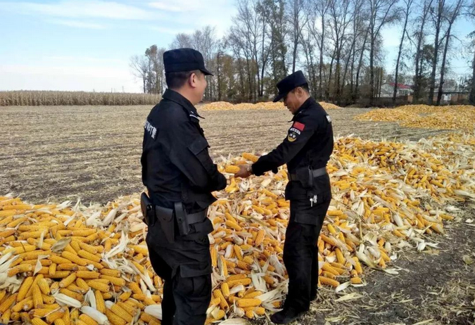 禁燒秸稈走田間、共鑄警魂保藍(lán)天