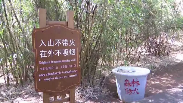 贊！雞足山景區(qū)連續(xù)35年無森林火災(zāi)，因為他們...